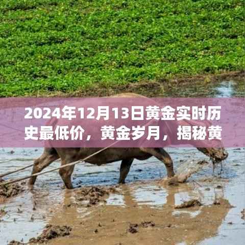 揭秘黄金历史最低价背后的故事与影响,黄金岁月下的黄金实时历史最低价解析(XXXX年XX月XX日)