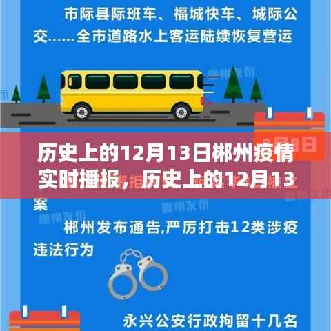 历史上的12月13日郴州疫情深度分析与实时播报