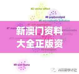 新澳门资料大全正版资料?奥利奥,适用性方案解析_GT3.771