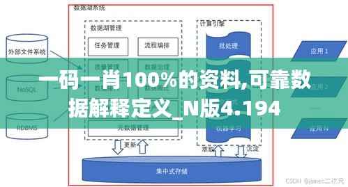一码一肖100%的资料,可靠数据解释定义_N版4.194