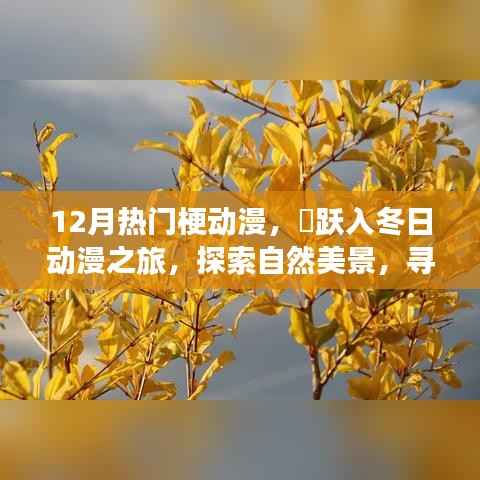 12月热门梗动漫,跃入冬日探索之旅,自然美景与内心的奇迹
