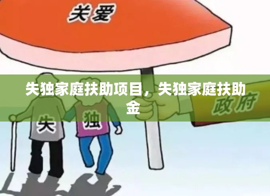 失独家庭扶助项目,失独家庭扶助金