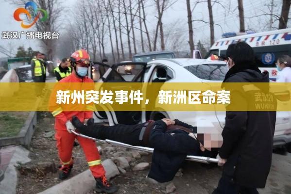 新州突发事件,新洲区命案