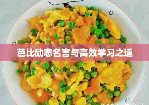 芭比励志名言与高效学习之道