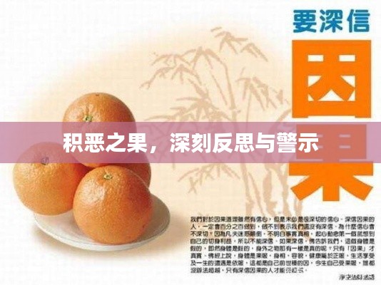 积恶之果,深刻反思与警示