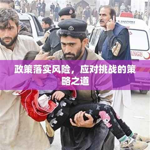 政策落实风险,应对挑战的策略之道