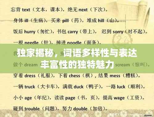 独家揭秘,词语多样性与表达丰富性的独特魅力