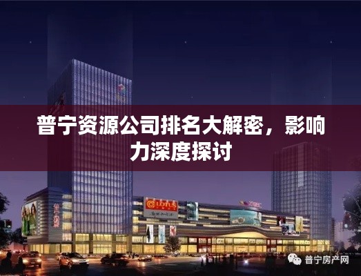 普宁资源公司排名大解密,影响力深度探讨