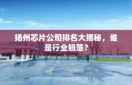 扬州芯片公司排名大揭秘,谁是行业翘楚?