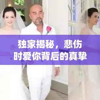 独家揭秘,悲伤时爱你背后的真挚情感故事