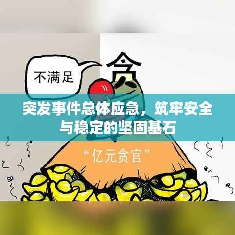 突发事件总体应急，筑牢安全与稳定的坚固基石
