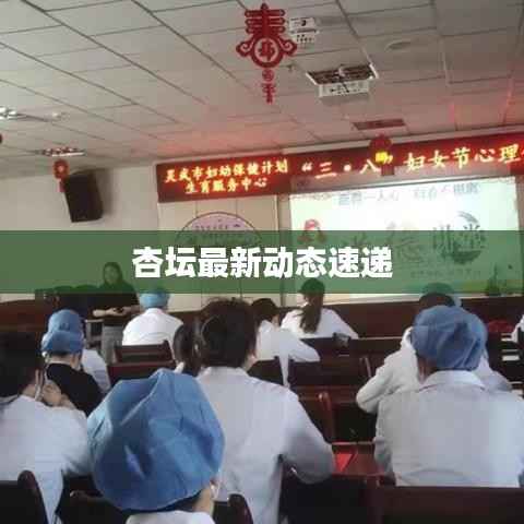 杏坛最新动态速递