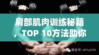 肩部肌肉训练秘籍,TOP 10方法助你塑造完美肩部线条