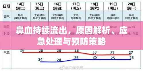 鼻血持续流出，原因解析、应急处理与预防策略