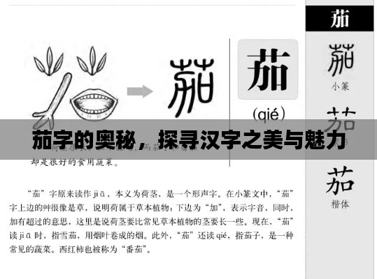 茄字的奥秘,探寻汉字之美与魅力